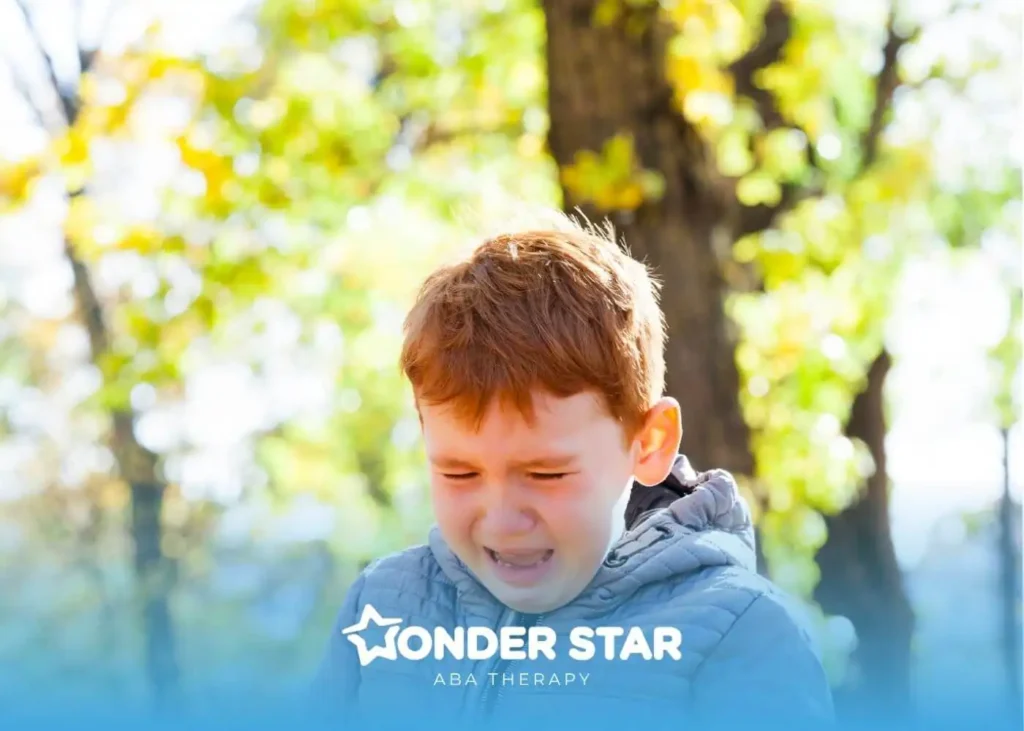 An Autistic boy crying outdoors in a park during daytime, showing strong emotions & distress with autumn trees in background.